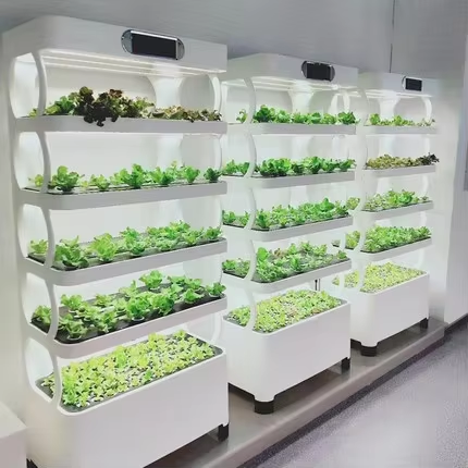 Greenhouse Mini Indoor - Mini système de culture hydroponique, armoire
