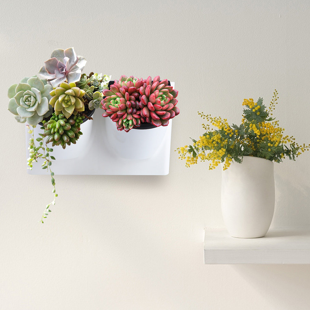Self-Watering Planter - Pot de fleurs auto-arrosant en plastique