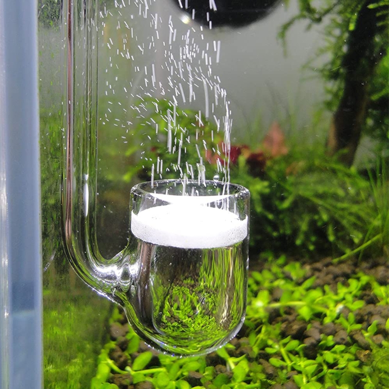 Aquaponics Fish Tank - D0AD Diffuseur CO2 en verre pour