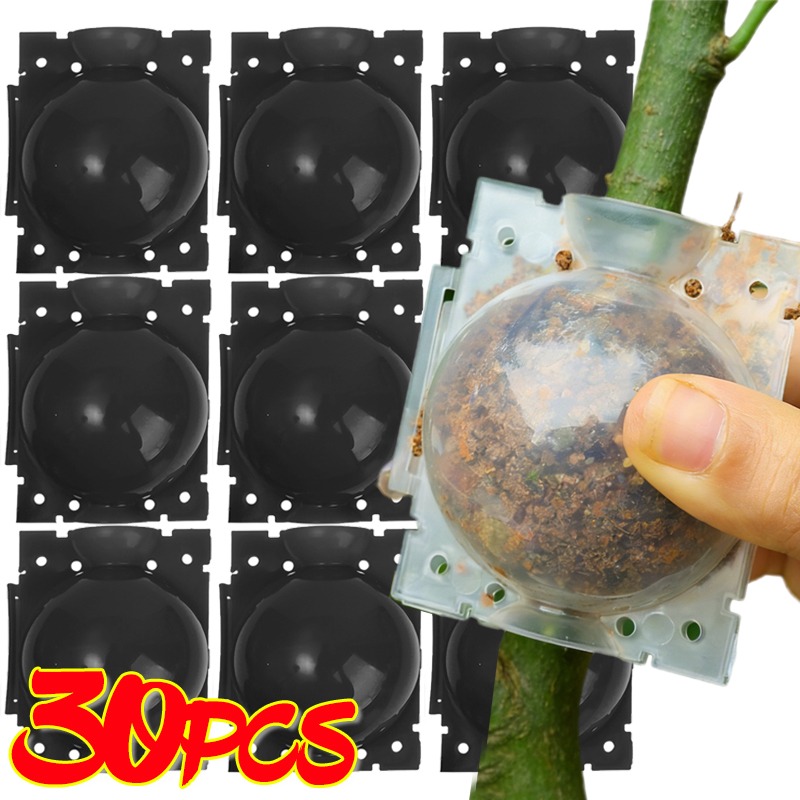 Gardening Tools Organiser - Boule de bouturage réutilisable pour plantes,