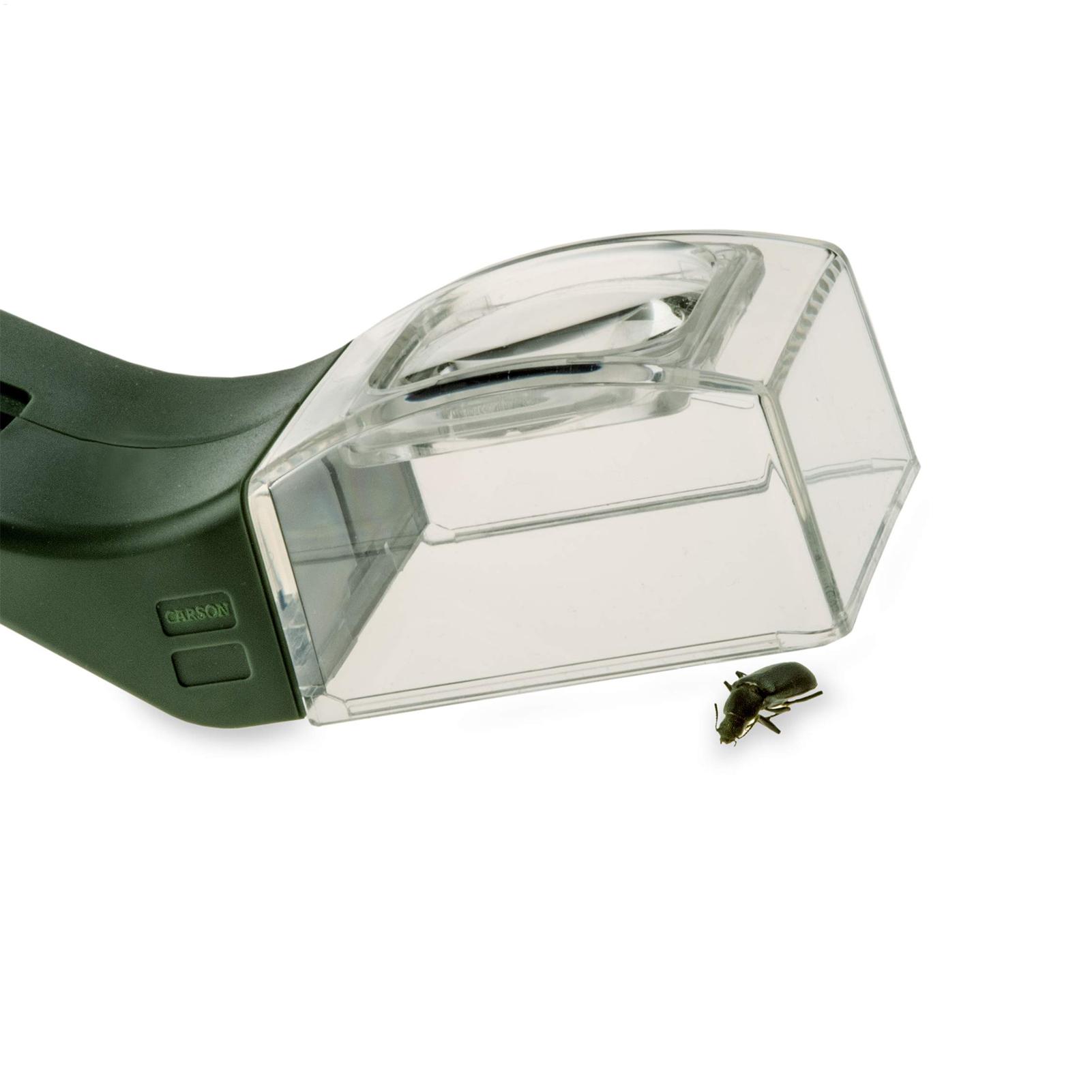 Gardening Tools Kids - Loupe pour enfants 5X, loupe à