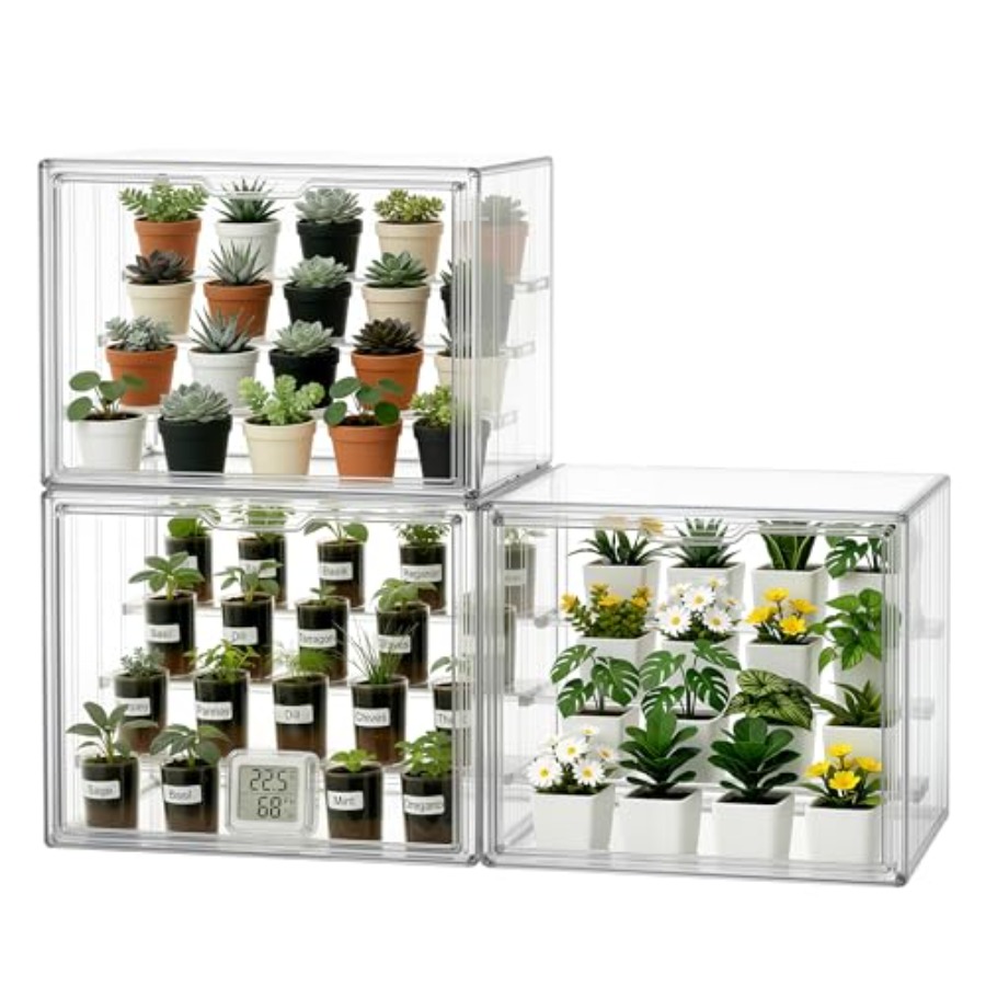 Greenhouse Mini Indoor - Mini-serre de table d'intérieur pour pépinière
