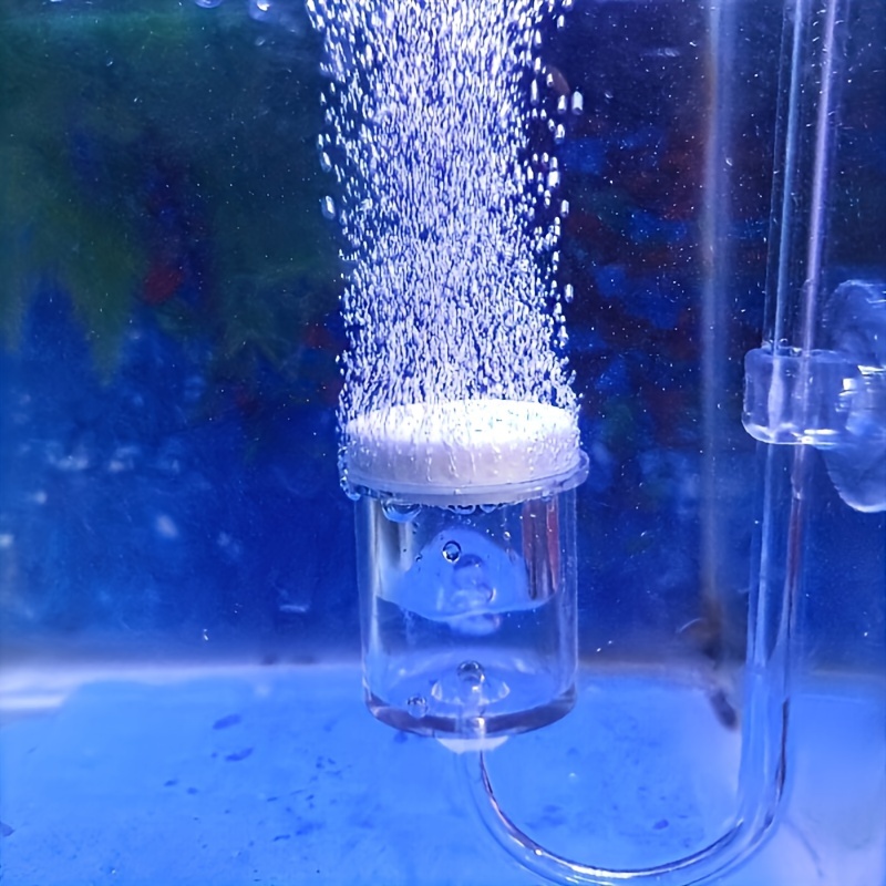 Aquaponics Fish Tank - Diffuseur d'atomiseur de CO2 en verre