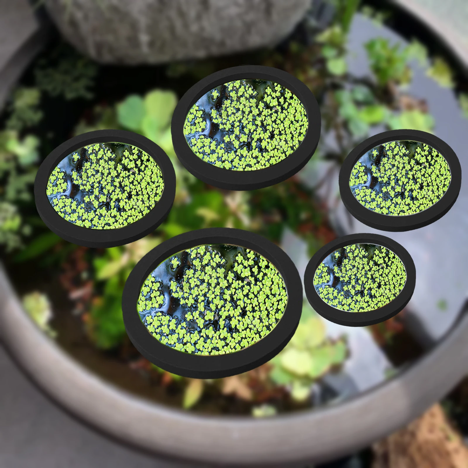 Aquaponics Fish Tank - Anneaux d'Alimentation pour Aquarium, Plante Flottante,