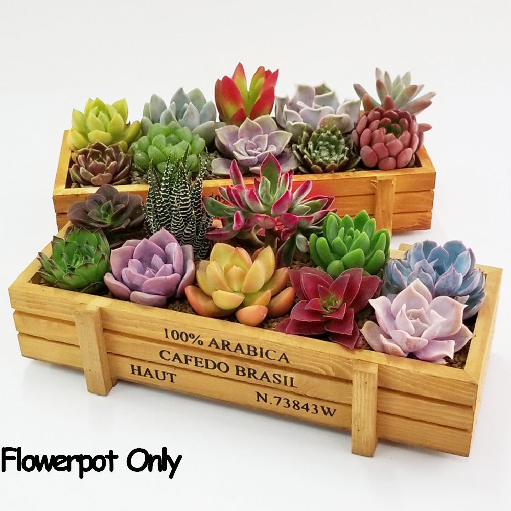 Gardening Tools Organiser - Pots décoratifs pour décoration de jardin,