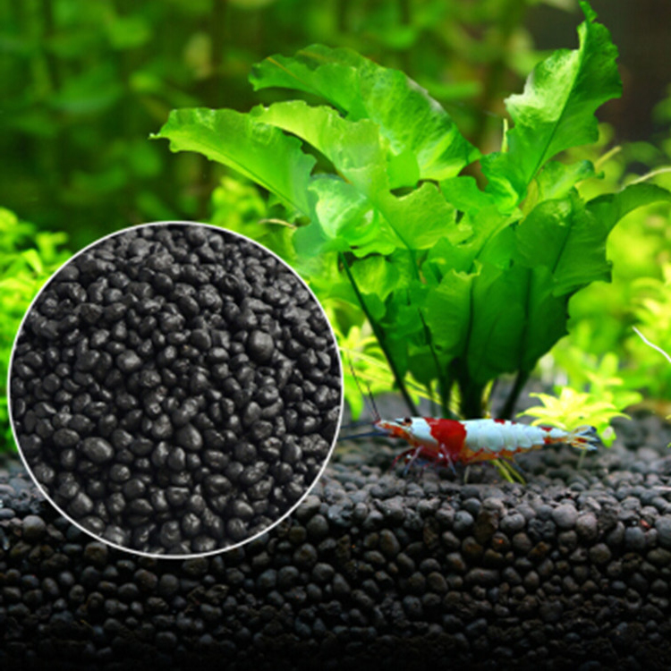 Aquaponics Fish Tank - Sol de graines de plantes d'aquarium,