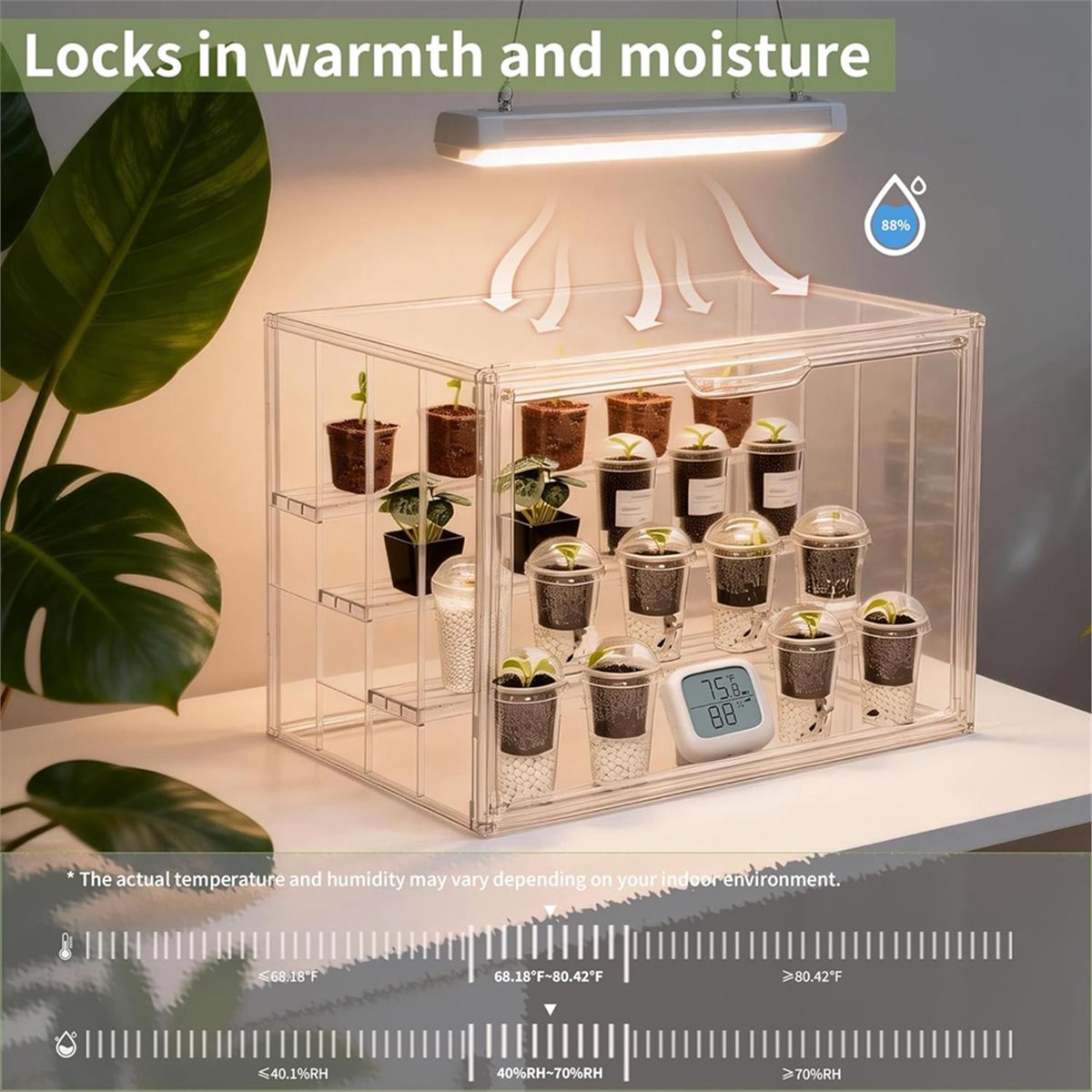 Greenhouse Mini Indoor - Mini serre industrielle transparente pour intérieur,
