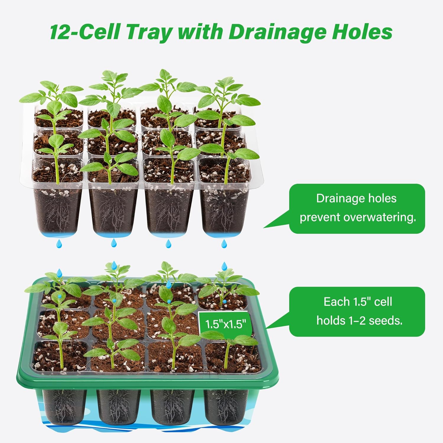 Kit de démarrage de graines av - Propagation Tray Dome avis et prix