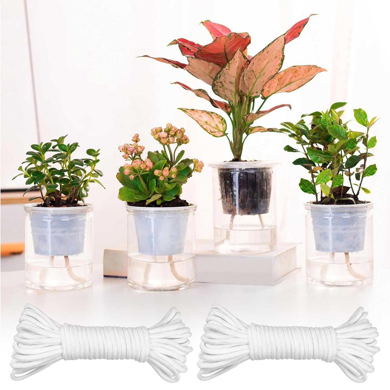 Mèches d'arrosage automatique  - Self-Watering Planter avis et prix