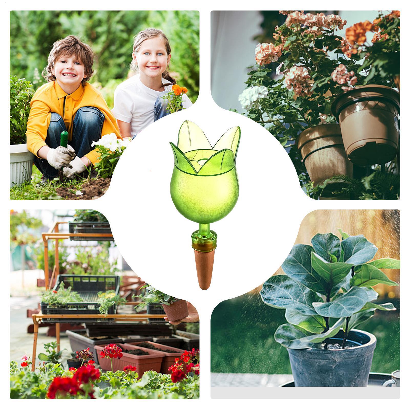 Dispositifs d'arrosage automat - Self-Watering Planter avis et prix