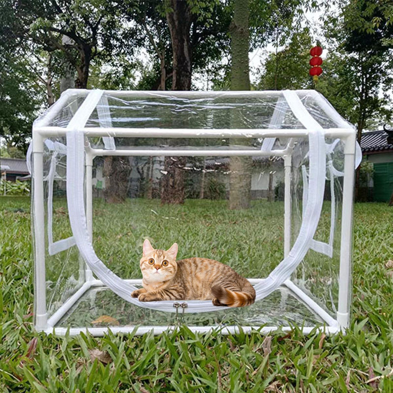 Mini serre en PVC transparente - Greenhouse Mini Indoor avis et prix