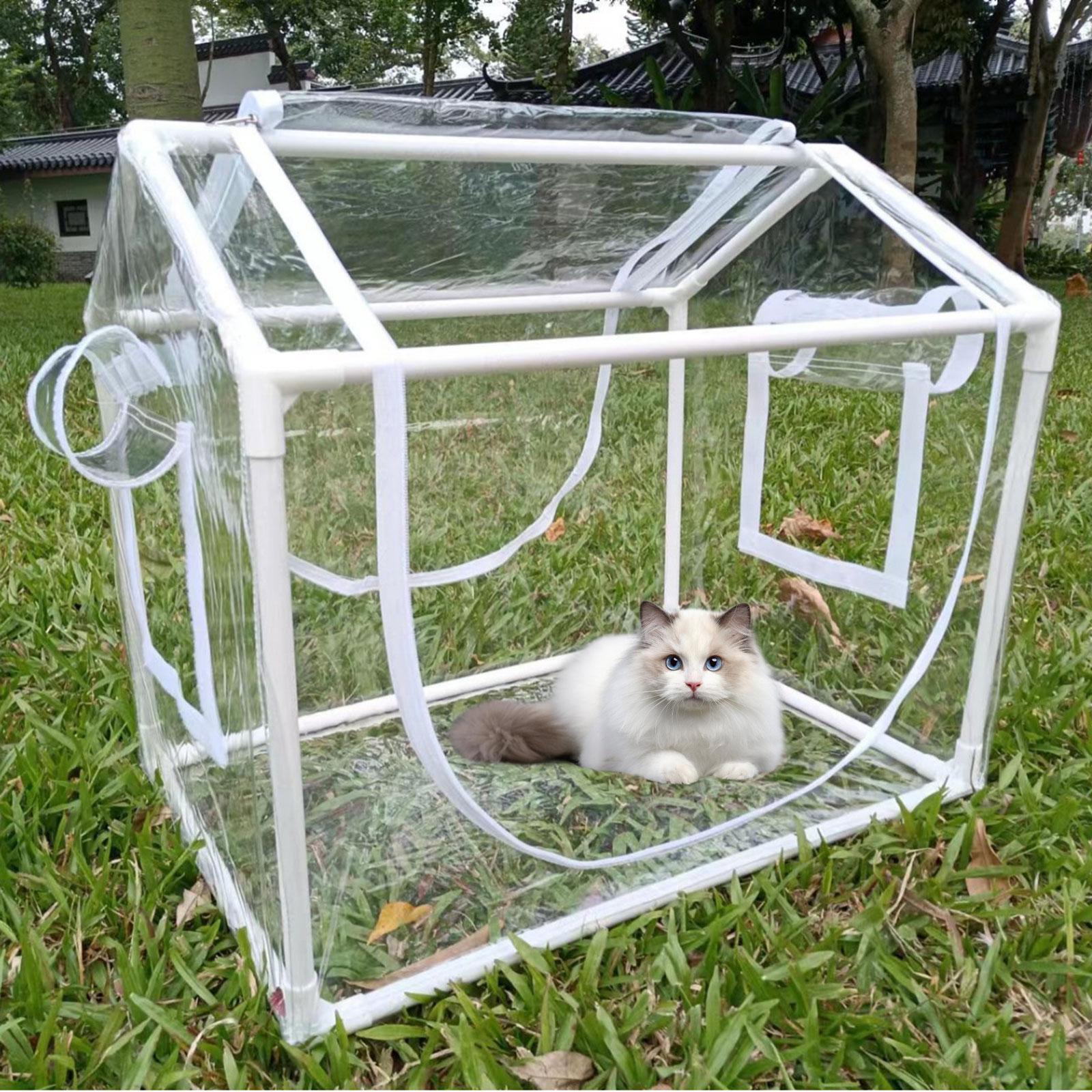 Mini serre en PVC transparente - Greenhouse Mini Indoor avis et prix