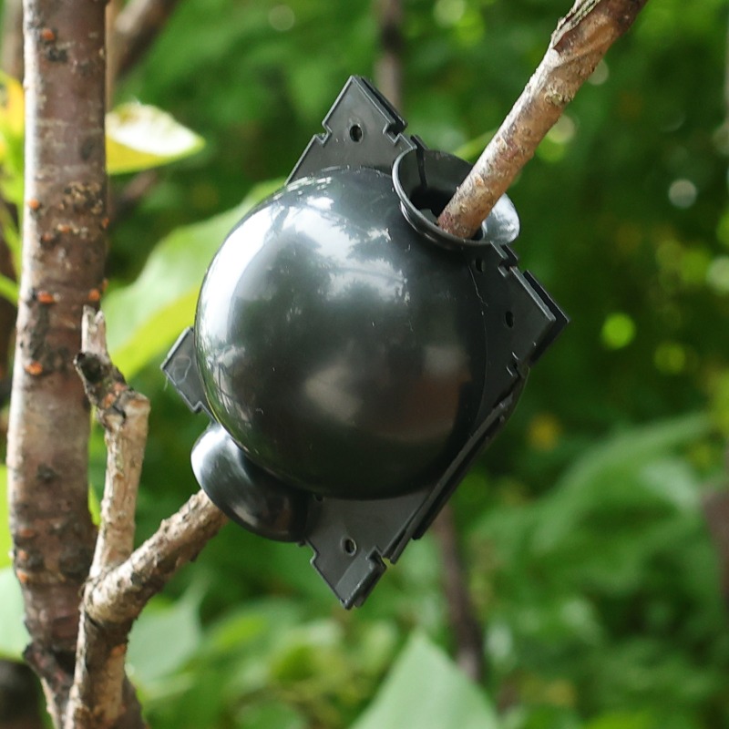 Boule de bouturage réutilisabl - Gardening Tools Organiser avis et prix