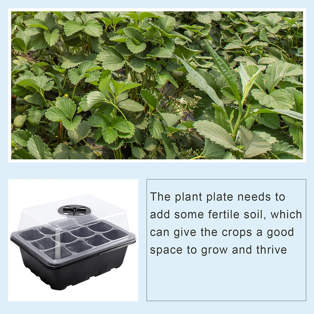 Plateau de semis à 12 alvéoles - Propagation Tray Dome avis et prix