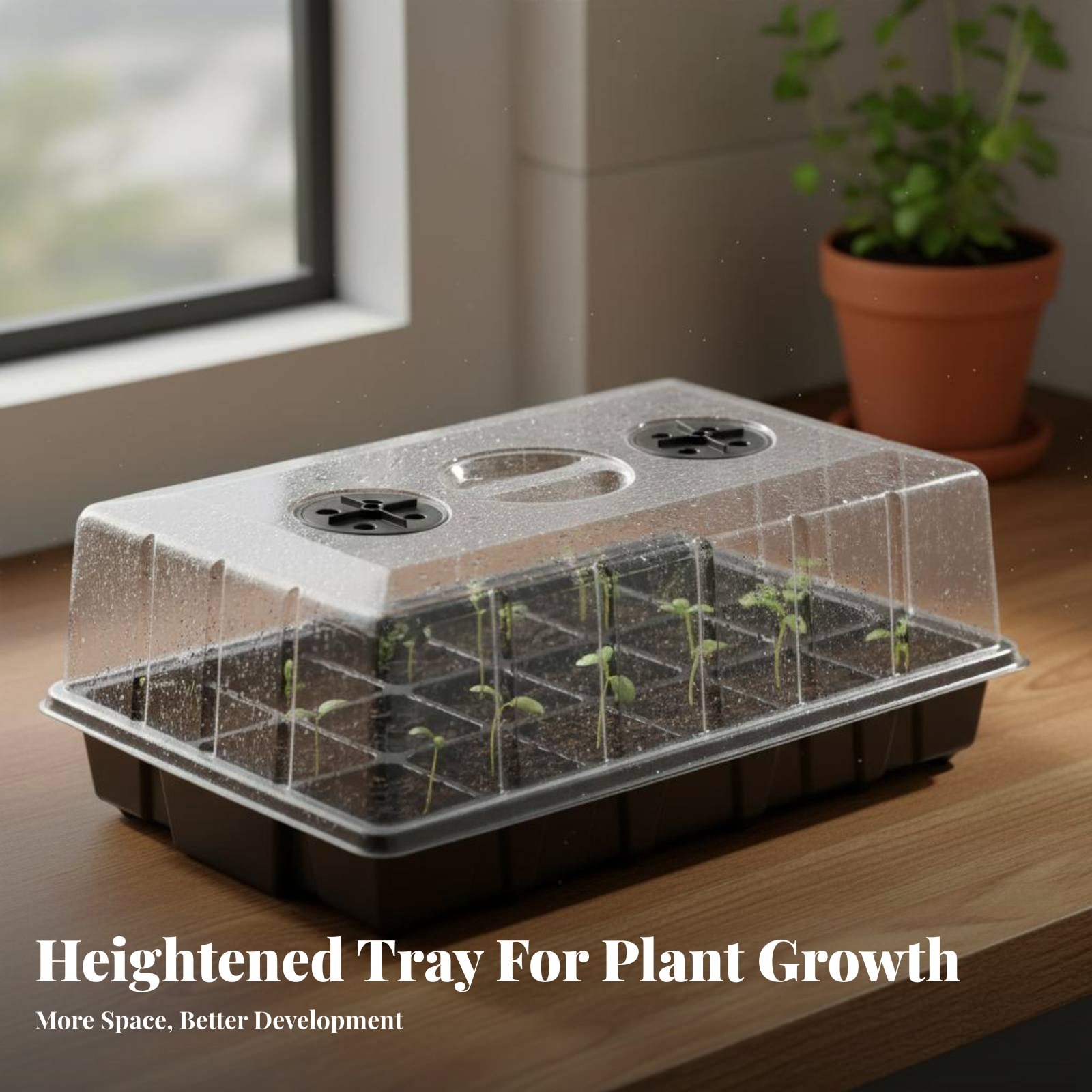 Plateau de pépinière à 24 comp - Propagation Tray Dome avis et prix