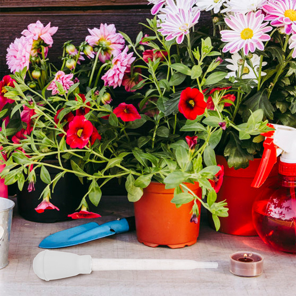 3 pièces : Soucoupe pour plant - Gardening Tools And Equipment avis et prix