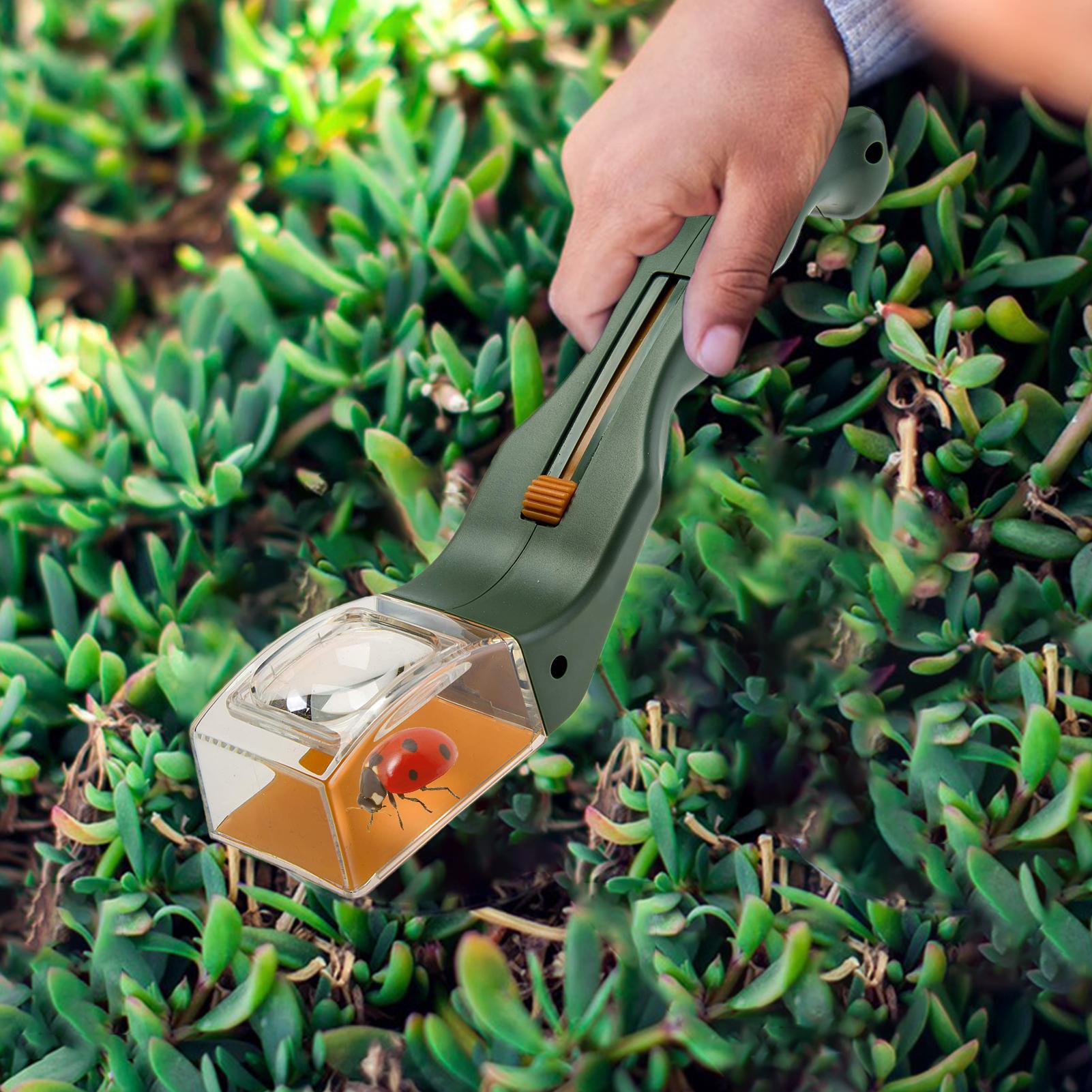 Loupe pour enfants 5X, loupe à - Gardening Tools Kids avis et prix