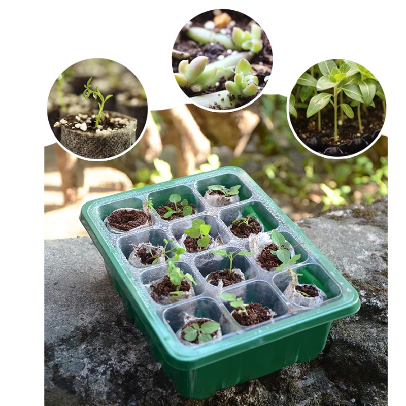 Mini serre pour la germination - Propagation Tray Dome avis et prix