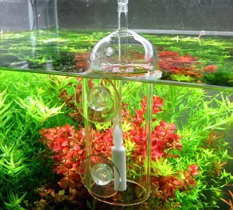 VIV Do-Dispositif d'Intervalle - Aquaponics Fish Tank avis et prix