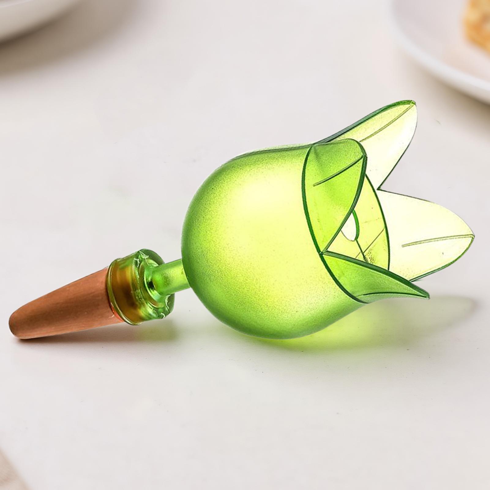 Piquet d'arrosage automatique  - Self-Watering Planter avis et prix