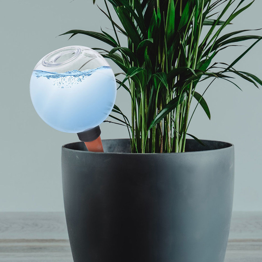 3 Globes d'arrosage automatiqu - Self-Watering Planter avis et prix