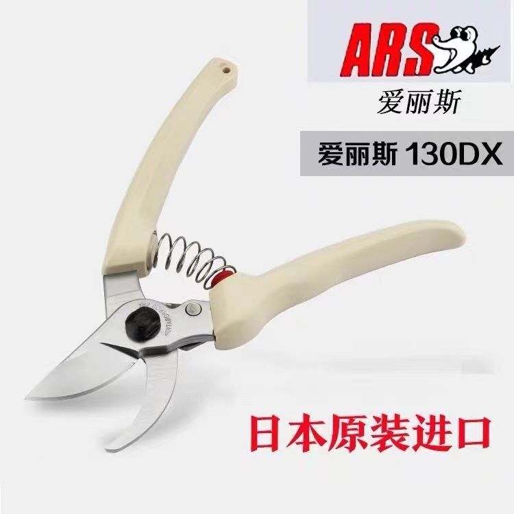 Ciseaux d'élagage Alice ARS im - Gardening Tools Japan avis et prix