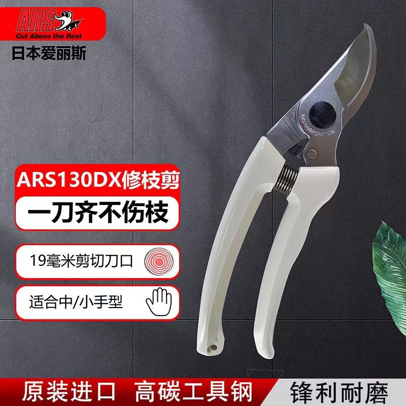Ciseaux d'élagage Alice ARS im - Gardening Tools Japan avis et prix
