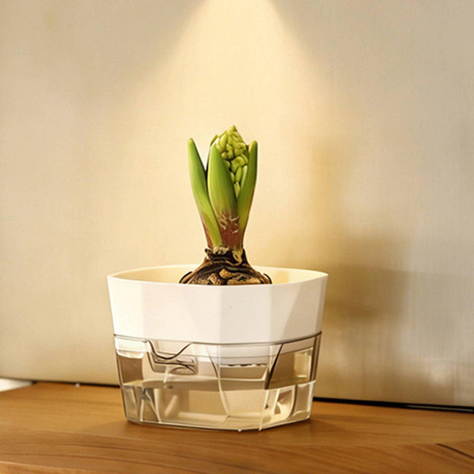 Vase hydroponique à deux nivea - Self-Watering Planter avis et prix