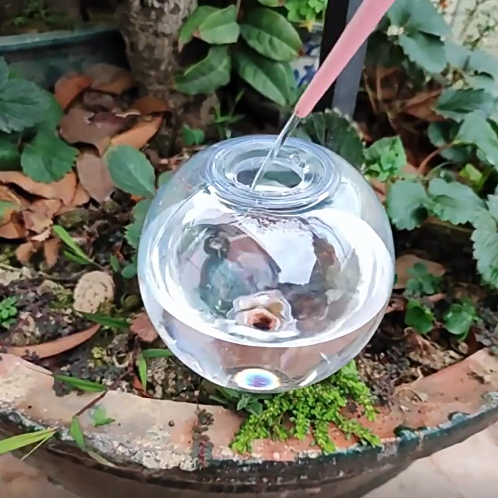Globes d'arrosage automatique  - Self-Watering Planter avis et prix