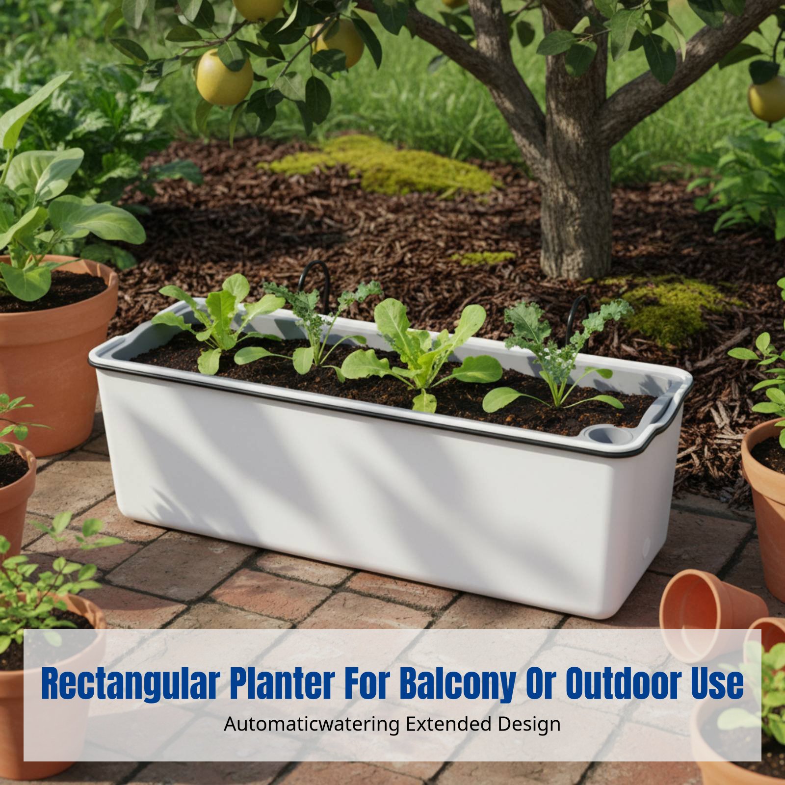 Pot de fleurs suspendu pour ba - Self-Watering Planter avis et prix