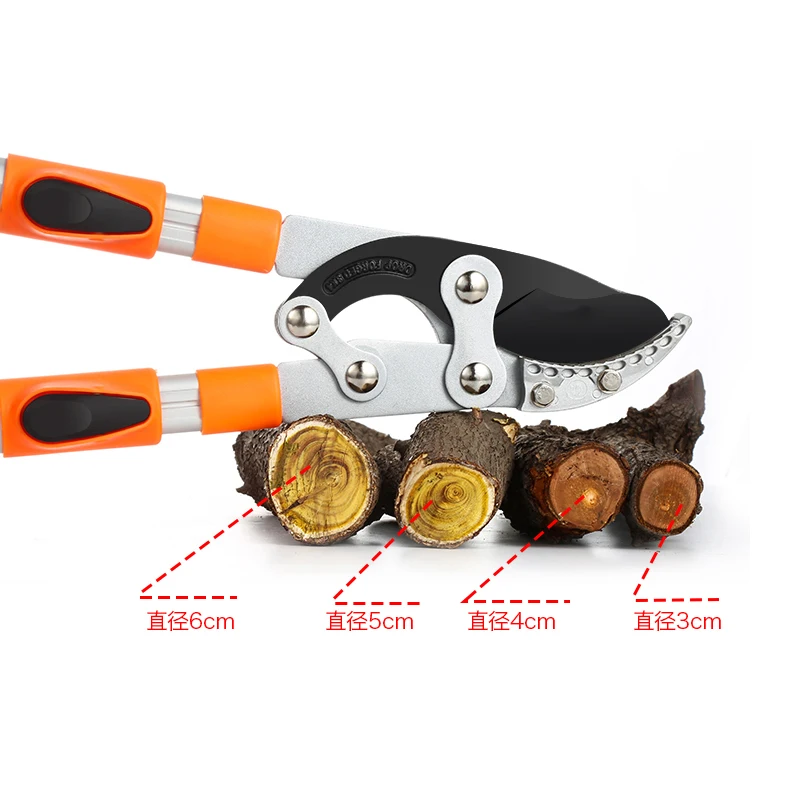 Ciseaux longs enclume de haie, - Gardening Tools German avis et prix