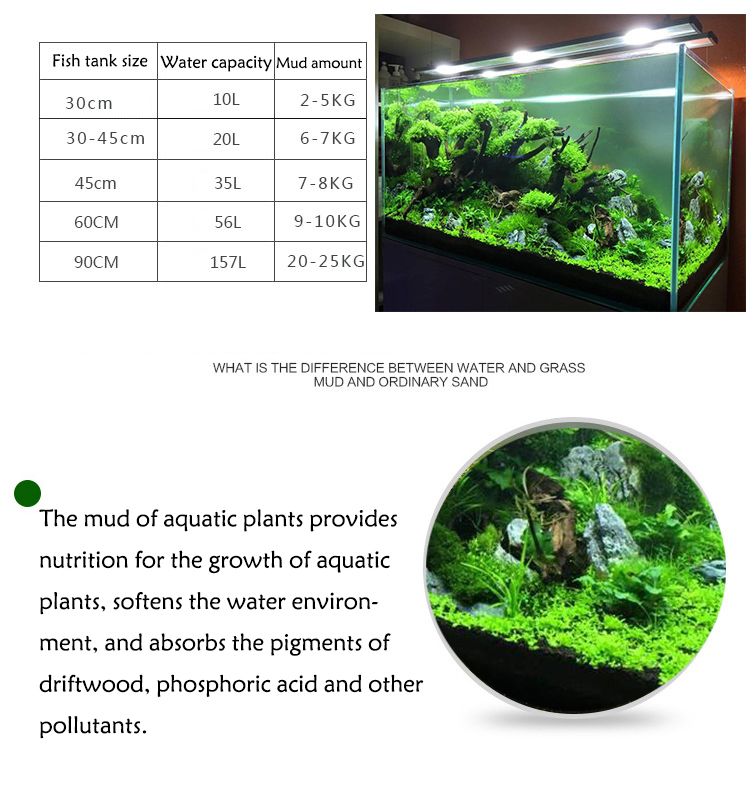 Sol de graines de plantes d'aq - Aquaponics Fish Tank avis et prix