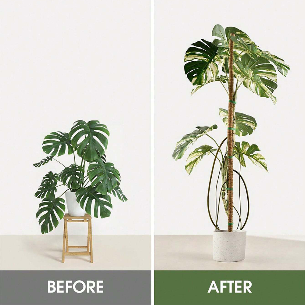 Poteau en mousse pour plantes, - Gardening Tools Kids avis et prix