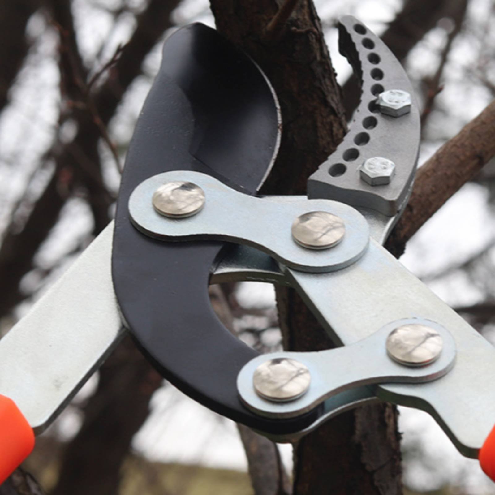 Sécateurs télescopiques à lame - Gardening Tool avis et prix