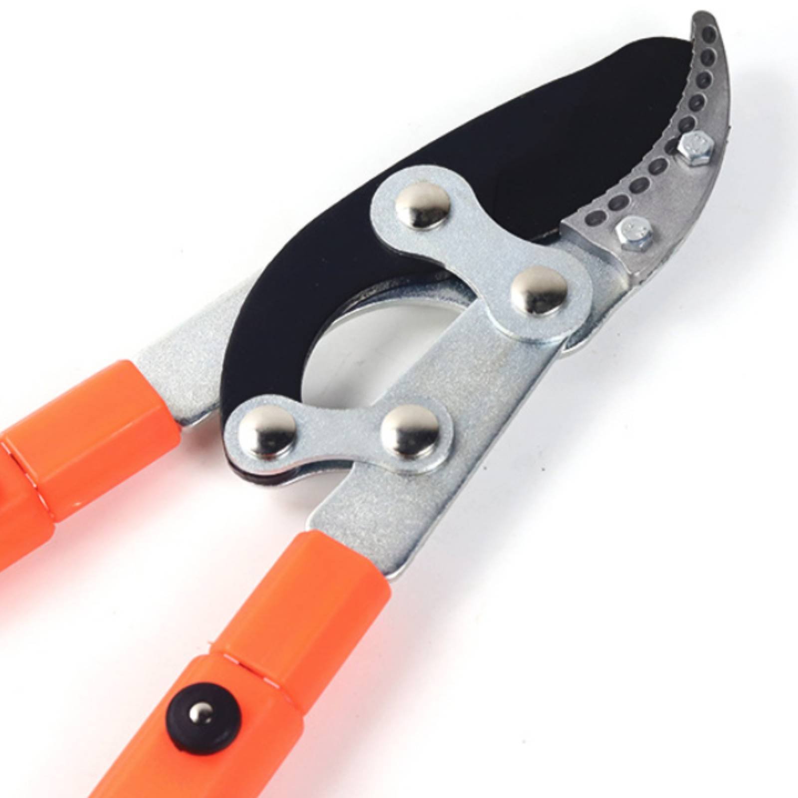 Sécateurs télescopiques à lame - Gardening Tool avis et prix