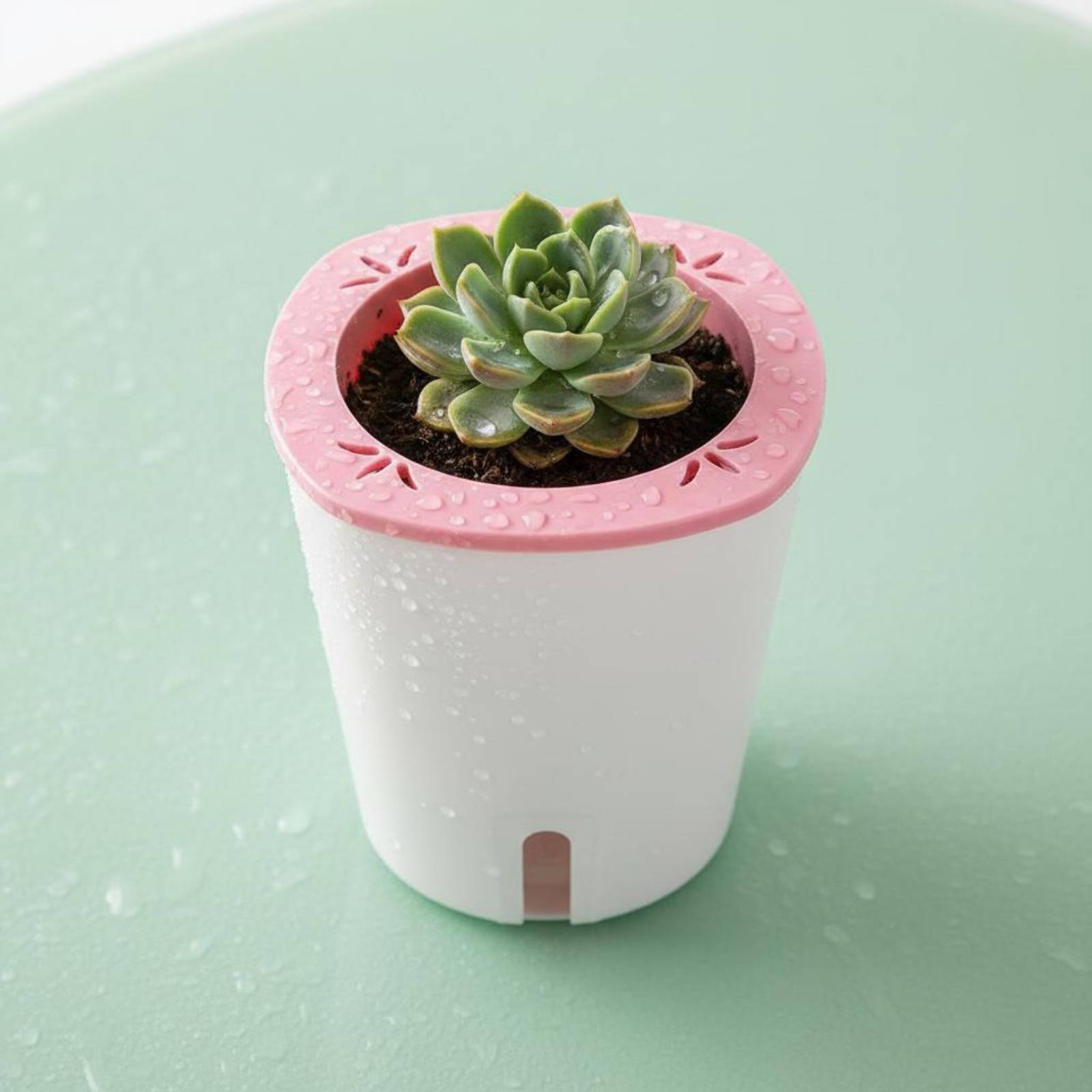 Jardinière auto-arrosante de g - Self-Watering Planter avis et prix