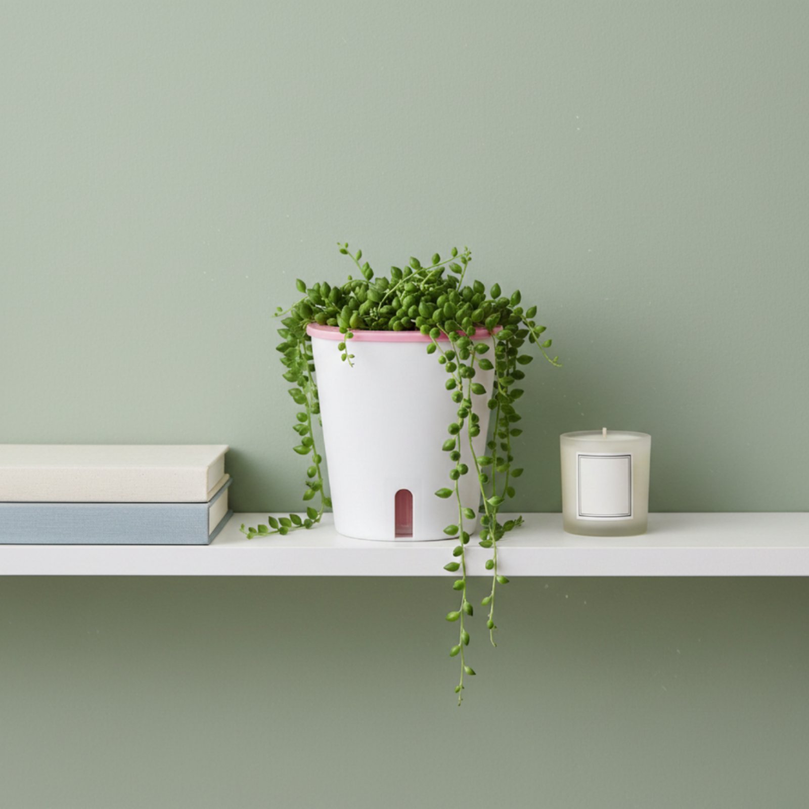 Jardinière auto-arrosante de g - Self-Watering Planter avis et prix