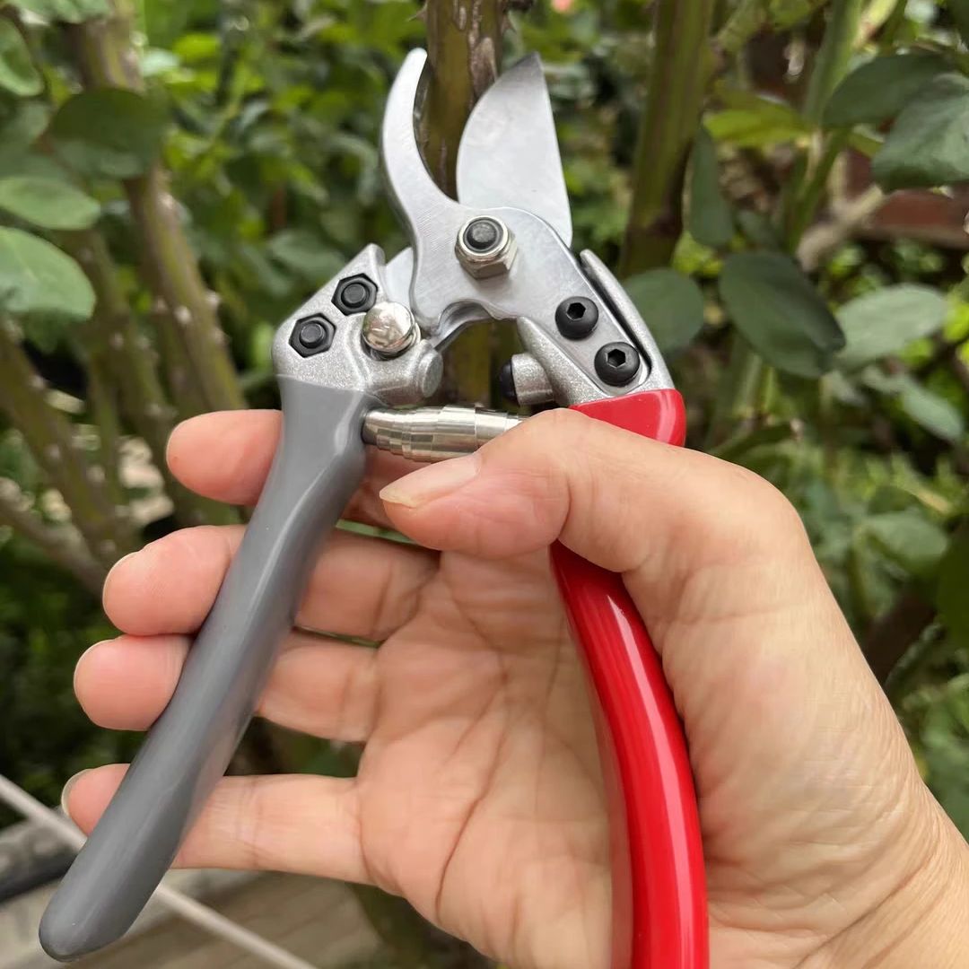 Cisailles de jardinage robuste - Gardening Tools Japan avis et prix