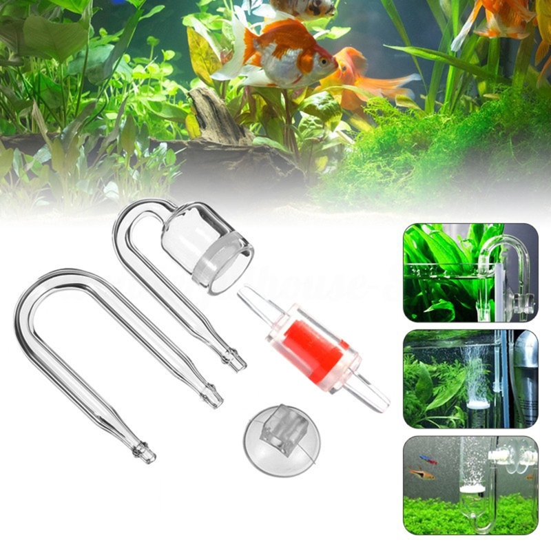 Diffuseur de CO2 pour aquarium - Aquaponics Fish Tank avis et prix