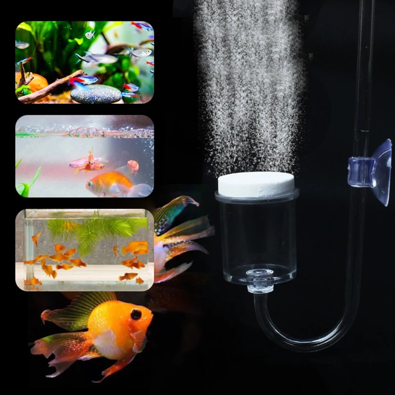 Diffuseur de CO2 pour aquarium - Aquaponics Fish Tank avis et prix